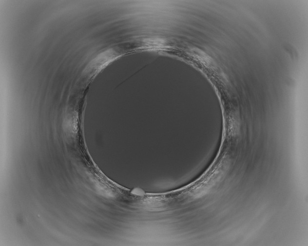 X0000111051161200907161359