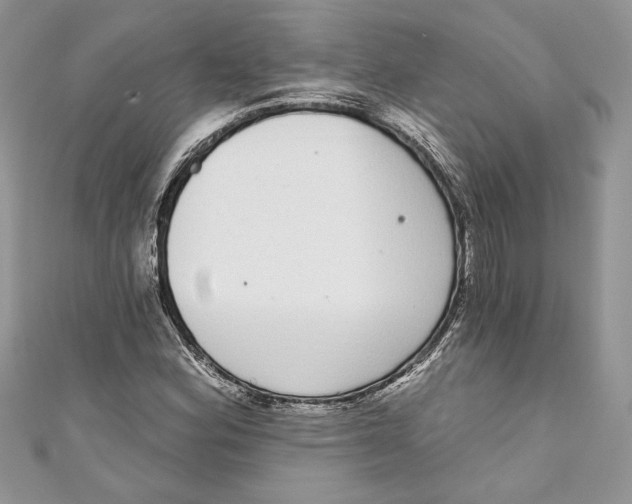 X0000111051164200907161359