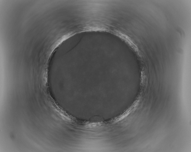 X0000111051165200907161359