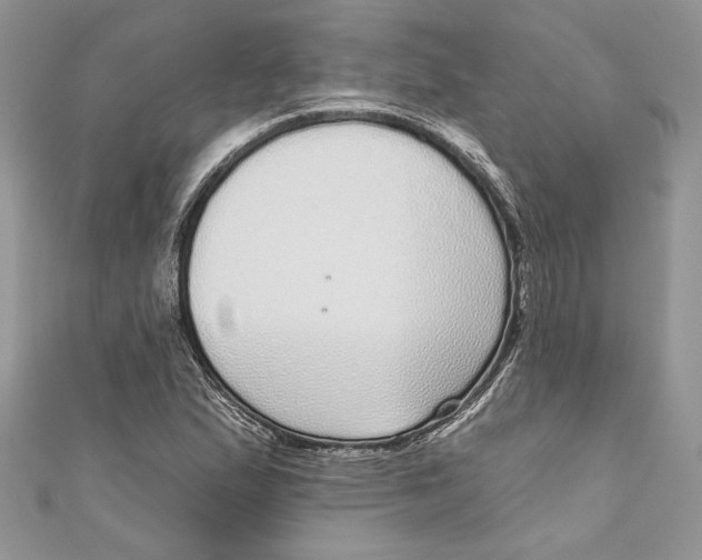 X0000111051167200907161359