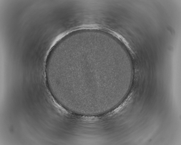 X0000111051168200907161359