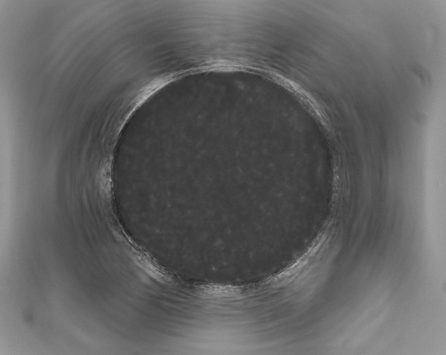 X0000111051170200907161359