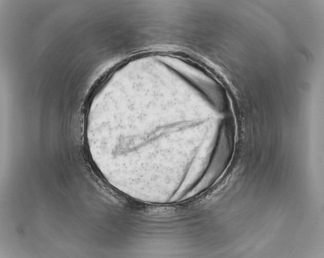 X0000111051171200907161359