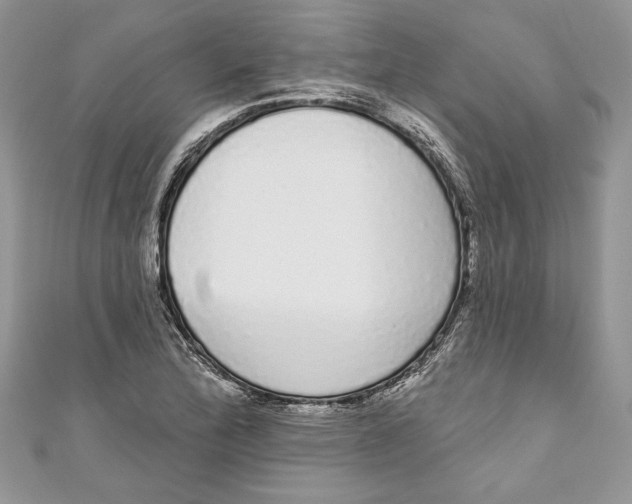 X0000111051172200907161359