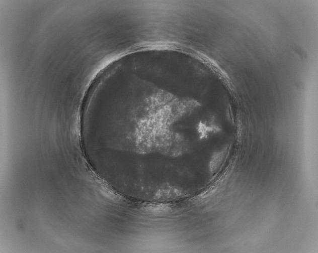 X0000111051174200907161359