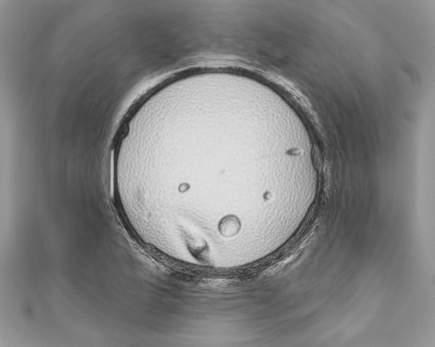 X0000111051175200907161359