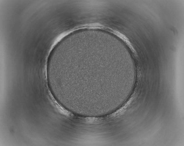 X0000111051176200907161359