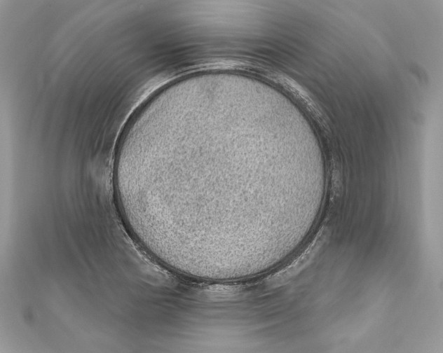 X0000111051178200907161359