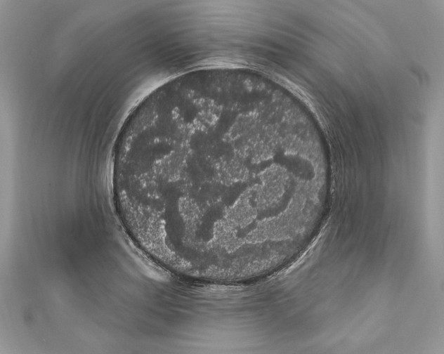 X0000111051179200907161359