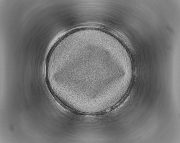 X0000111051180200907161359