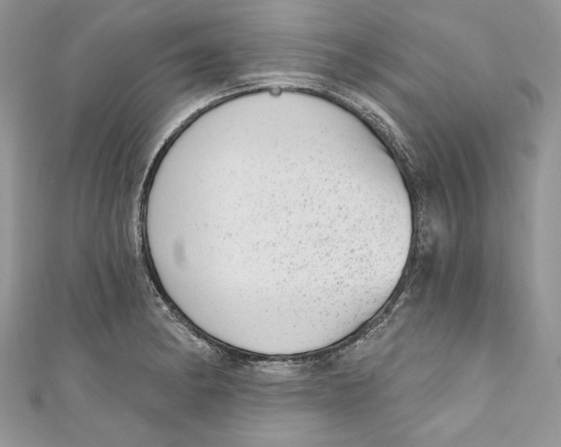 X0000111051182200907161359