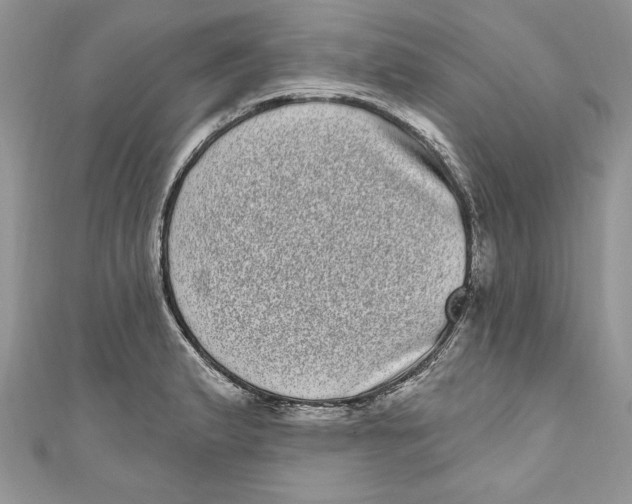 X0000111051183200907161359