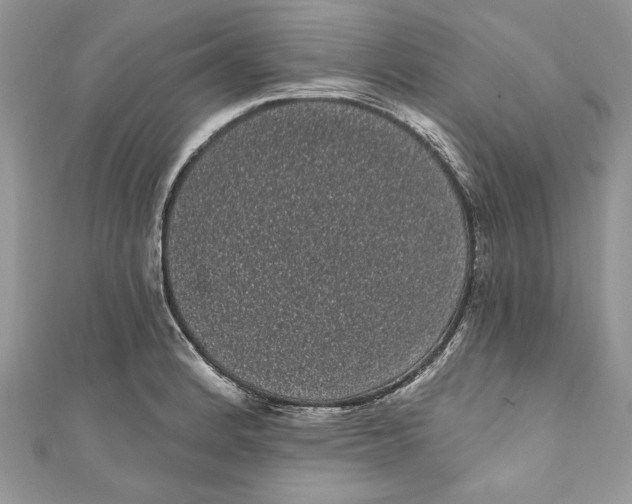 X0000111051184200907161359