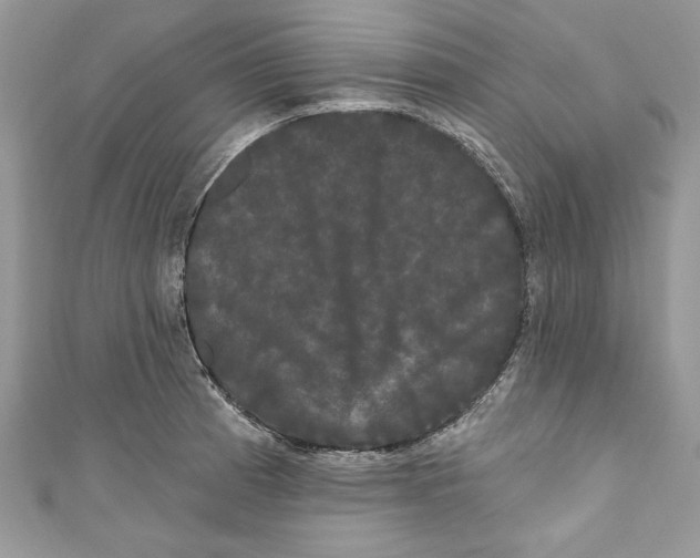 X0000111051185200907161359