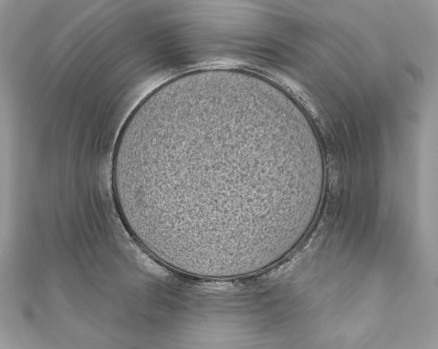 X0000111051186200907161359