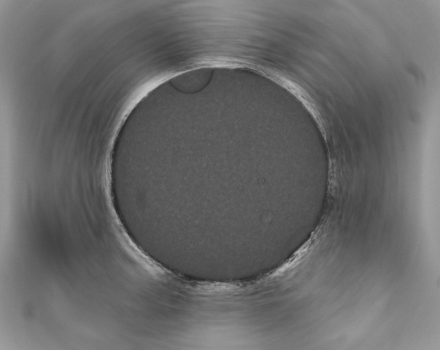 X0000111051187200907161359