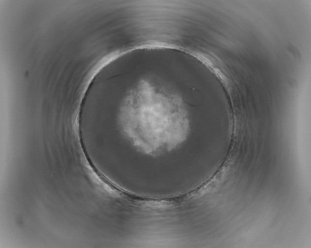 X0000111051189200907161359