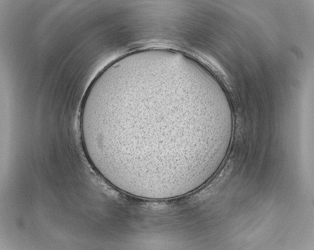 X0000111051190200907161359