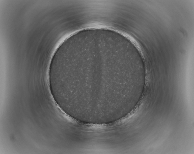 X0000111051191200907161359