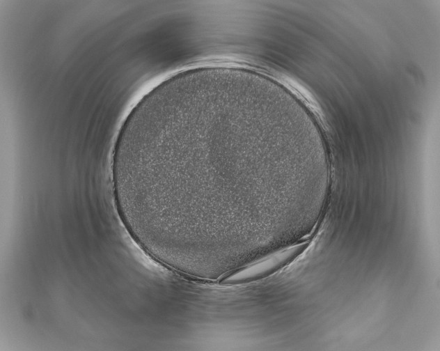 X0000111051192200907161359