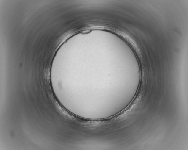 X0000111051193200907161359