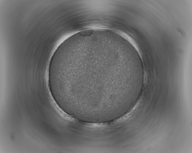 X0000111051195200907161359