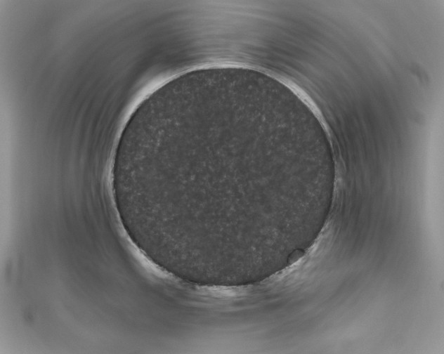 X0000111051197200907161359