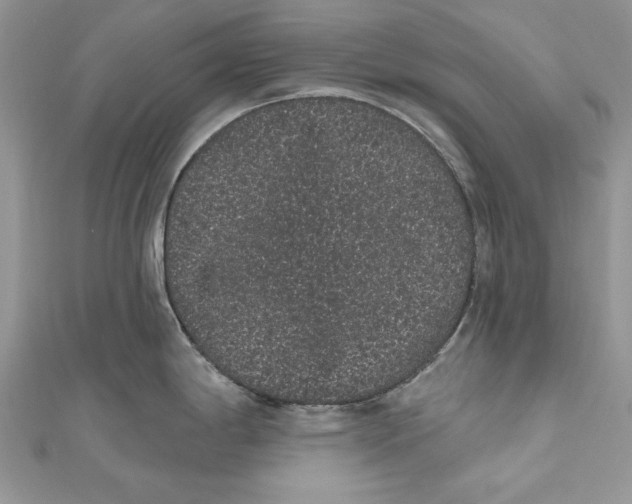 X0000111051198200907161359