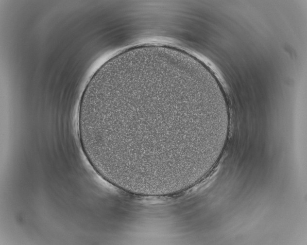 X0000111051199200907161359