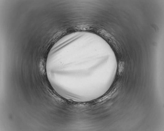 X0000111051202200907161358