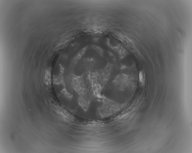 X0000111051203200907161358