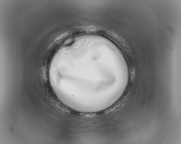 X0000111051205200907161358