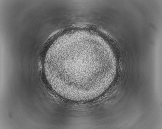 X0000111051206200907161358