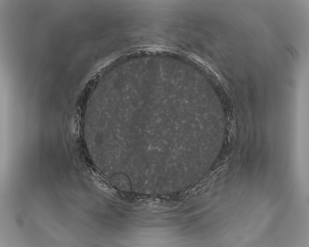 X0000111051207200907161358