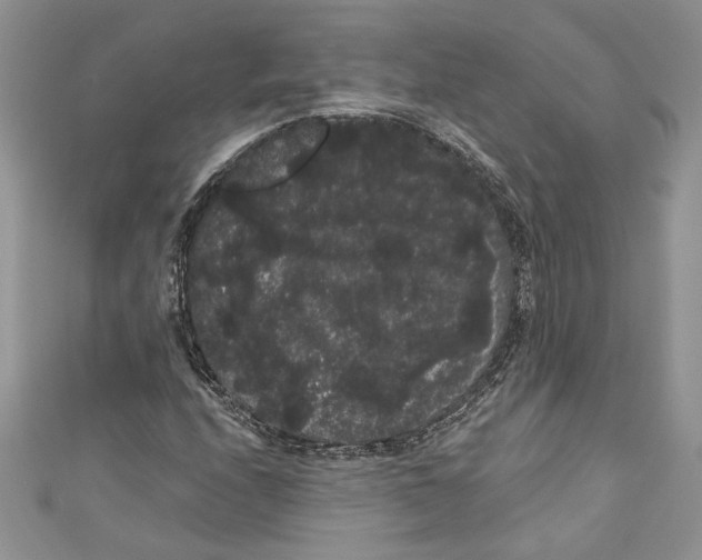 X0000111051208200907161358