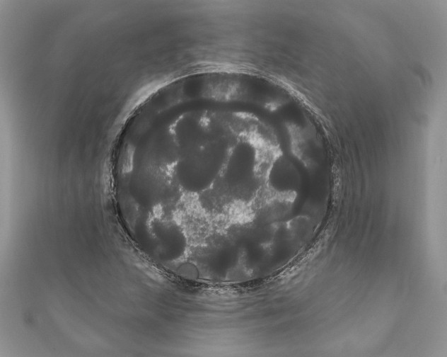 X0000111051215200907161358