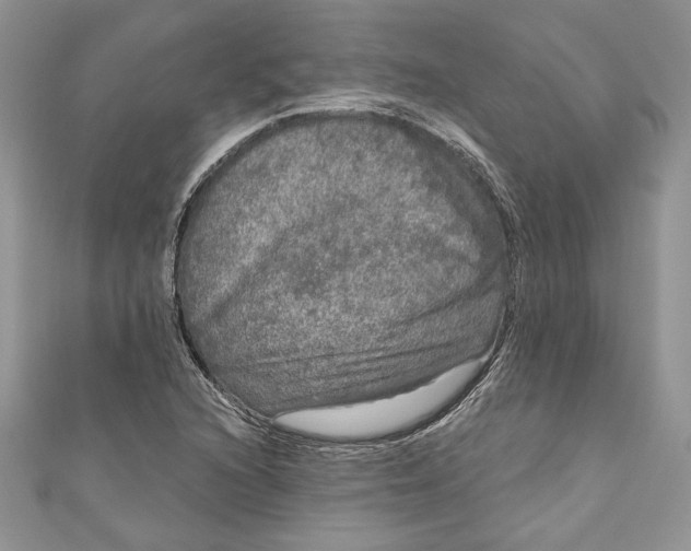 X0000111051216200907161358