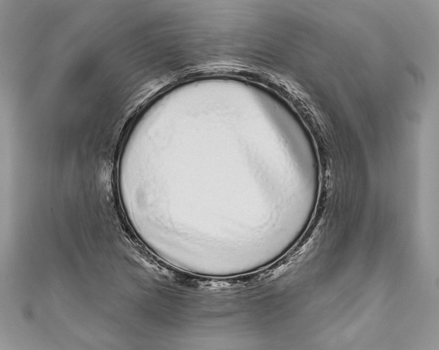 X0000111051217200907161358