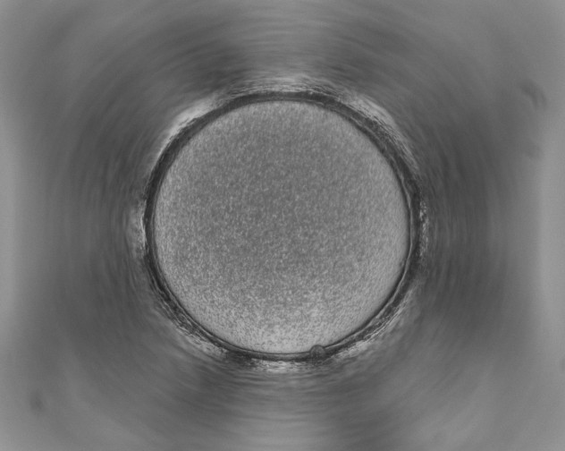 X0000111051218200907161358