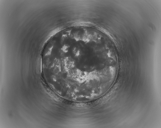 X0000111051219200907161358