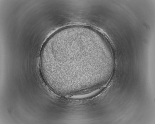 X0000111051220200907161358