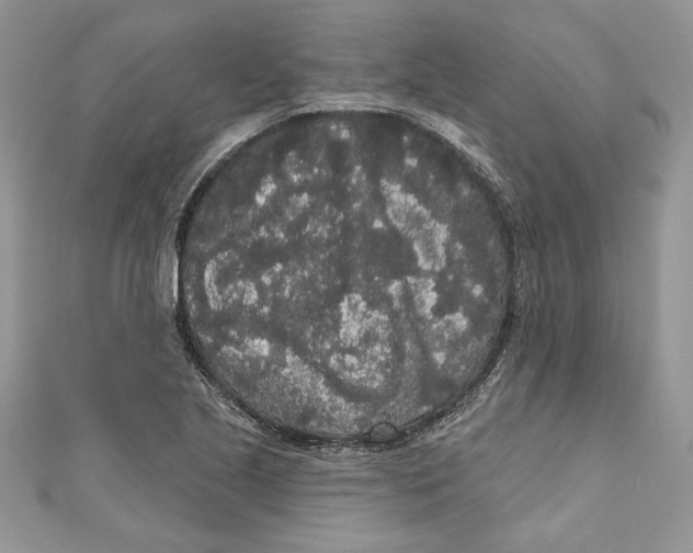 X0000111051221200907161358