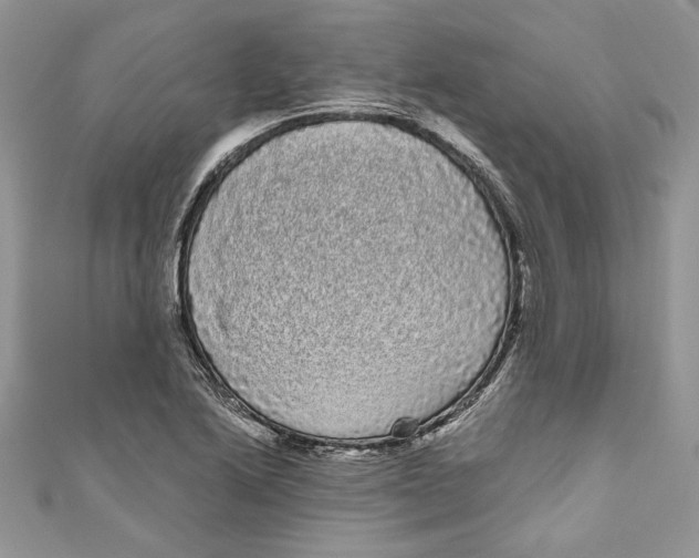 X0000111051222200907161358