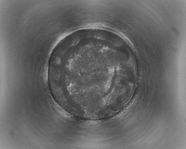 X0000111051224200907161358