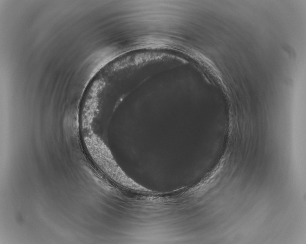 X0000111051226200907161358