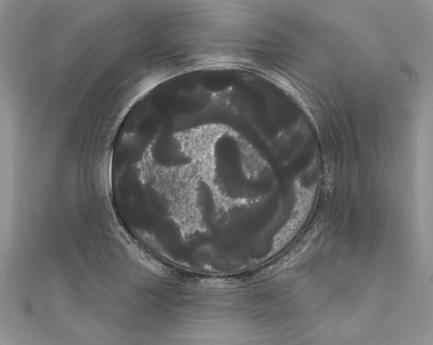 X0000111051227200907161358