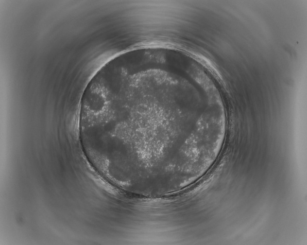 X0000111051228200907161358