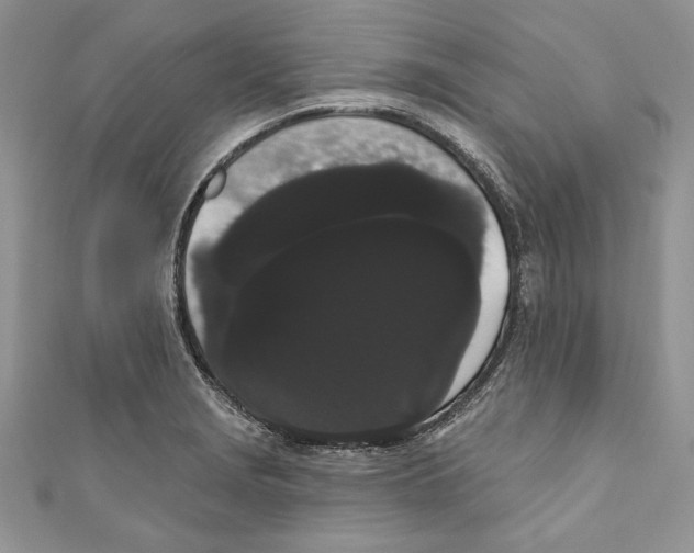 X0000111051229200907161358