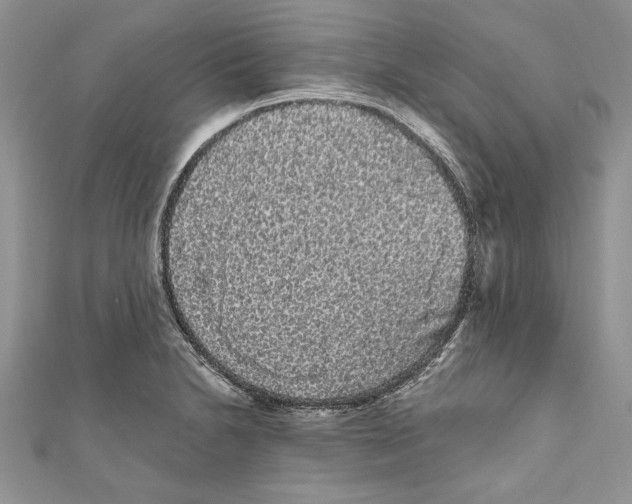 X0000111051230200907161358