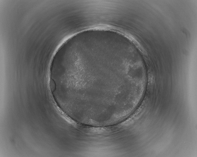 X0000111051232200907161358